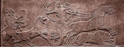 assyrianhorses