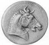 Bucephalus_coin